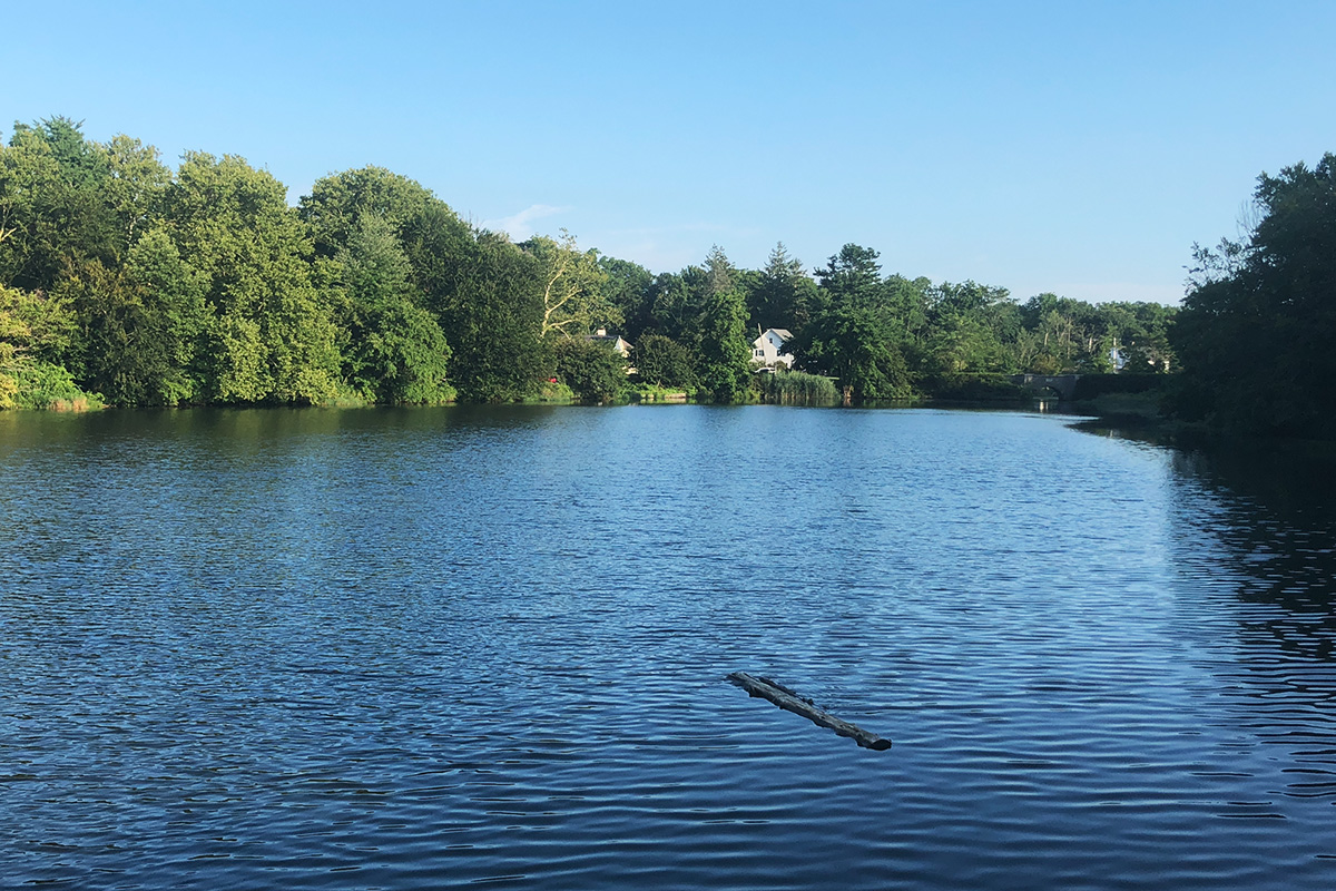 frank-melville-ponds